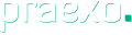 Praexo Consulting